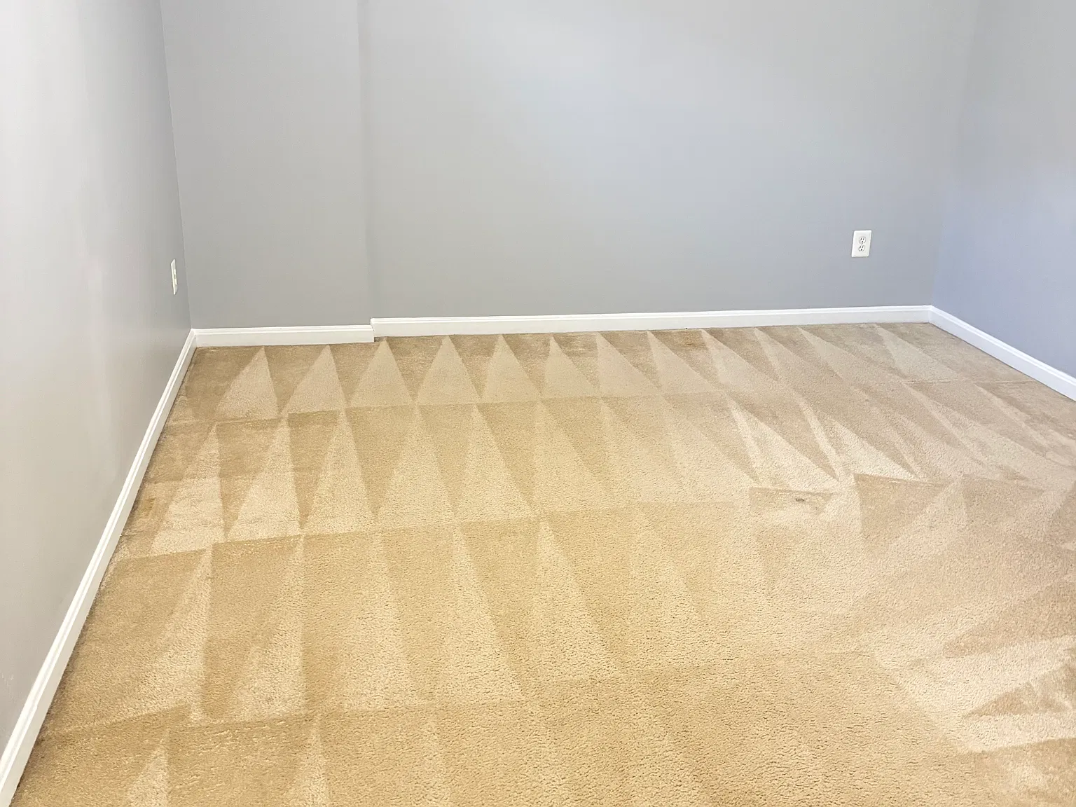 2 bed, 1686 sqft, $1,300 — Photo 2