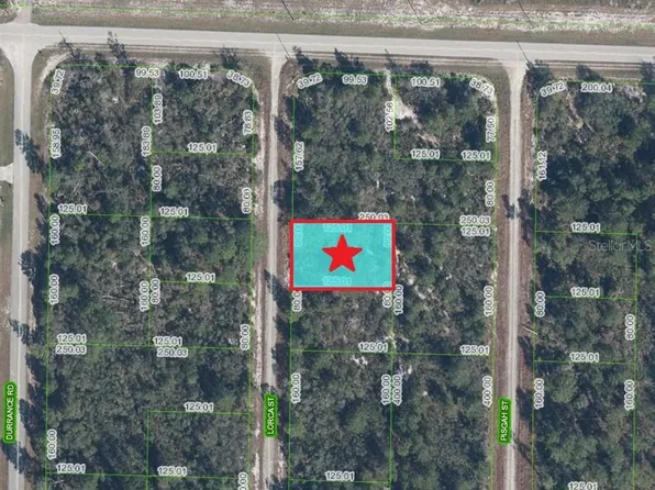1255 Lorca St Lot 18, Lake Placid, FL 33852