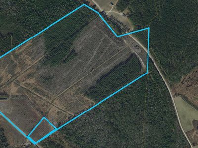 TBD Bellaire Dr., Nichols, SC, 29581