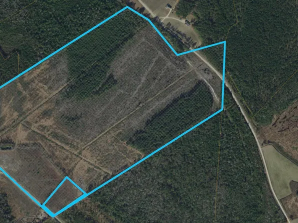 TBD Bellaire Dr., Nichols, SC 29581