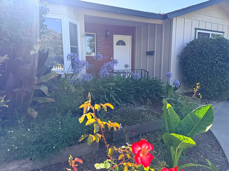 937 Trifone Dr — Photo 44