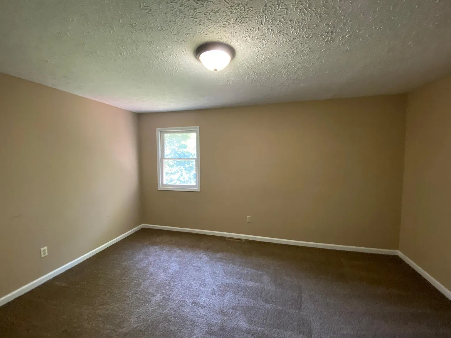 205 Mainous St — Photo 3