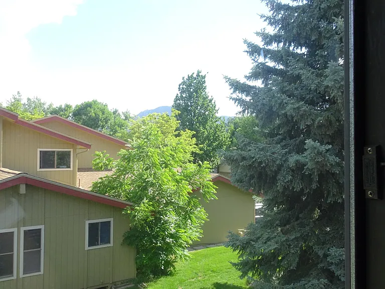 3186 Westwood Ct — Photo 18