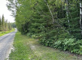 2 Tomahawk Ln, Kabetogama, MN 56669