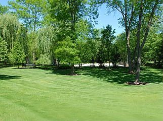 view of back yard