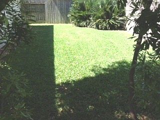 1st image of 2030 Plantation Bend Dr