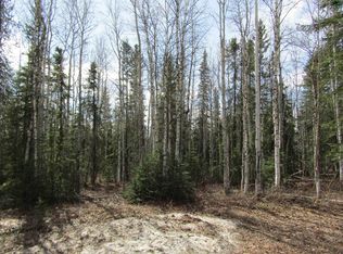 L68 Placer Ln, Delta Junction, AK 99737