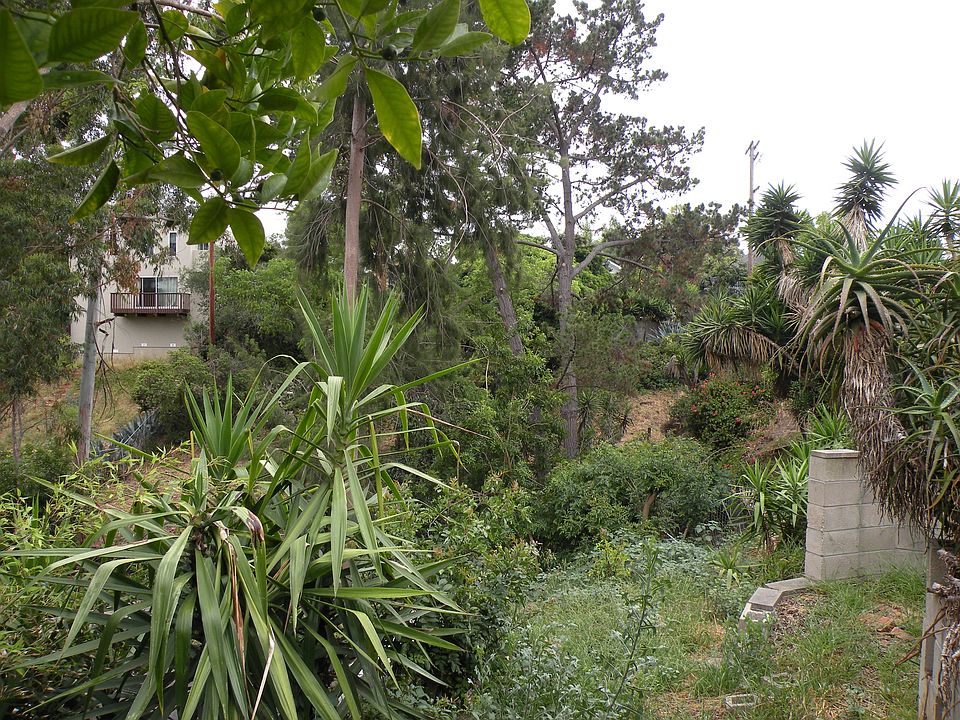 2nd image of 1409 Brookes Ave