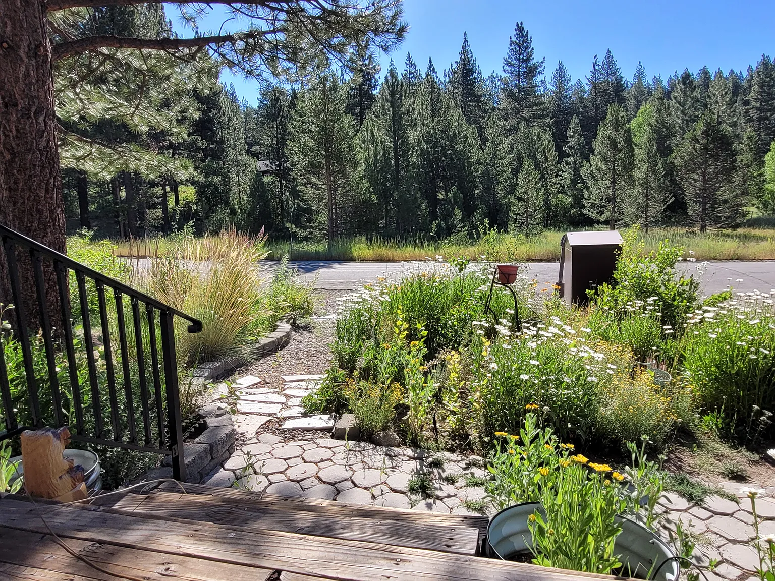 3 bed, 1408 sqft, $3,850 — Photo 4