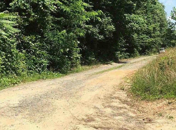 2nd image of 11068 Arrow Head Dr