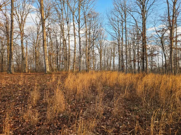 0 Havenwood Rd #37-38, Mc Ewen, TN 37101