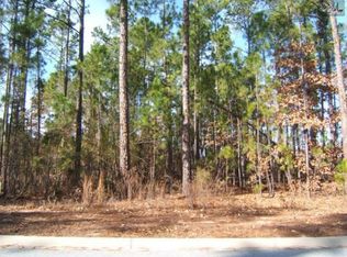 163 Island View Cir, Elgin, SC 29045