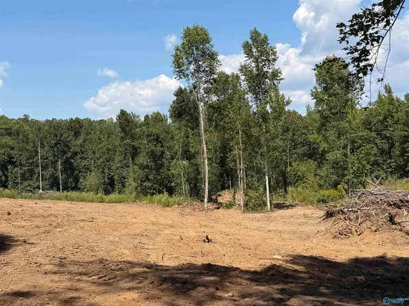 Bishop Mountain Rd, Grant, AL 35747