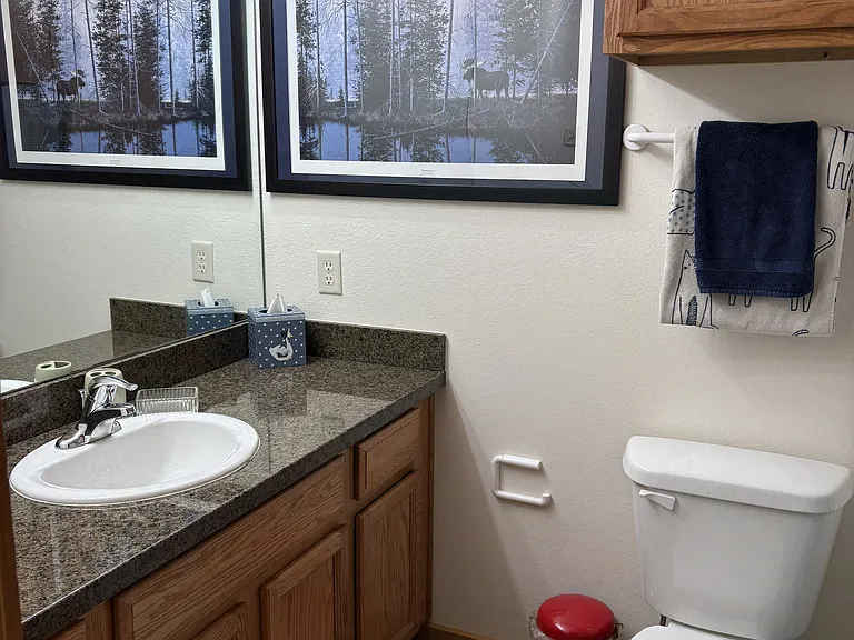 bathroom _02272025