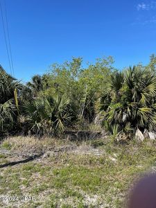 10 Americus Ave, Pt Saint Joe, FL, 32456