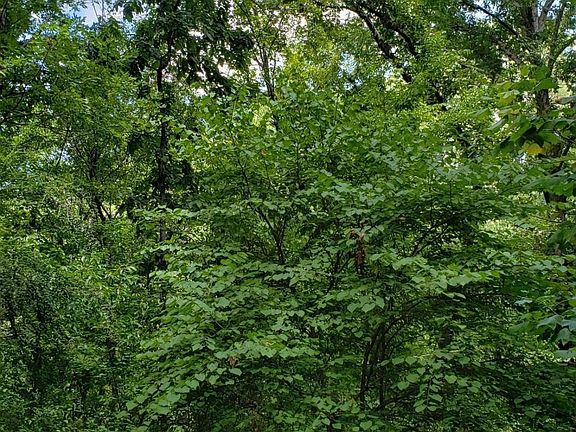5th image of 0 Shady Oaks Cv #1