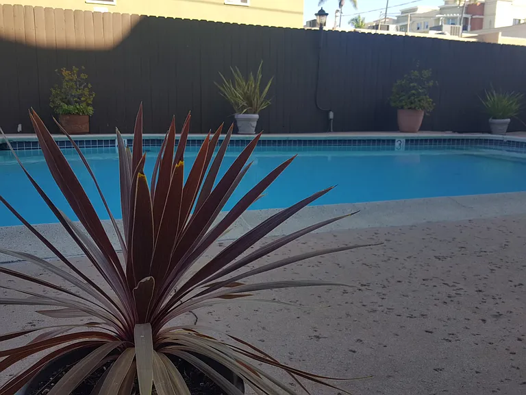 Villa Capri Apartments — Photo 20