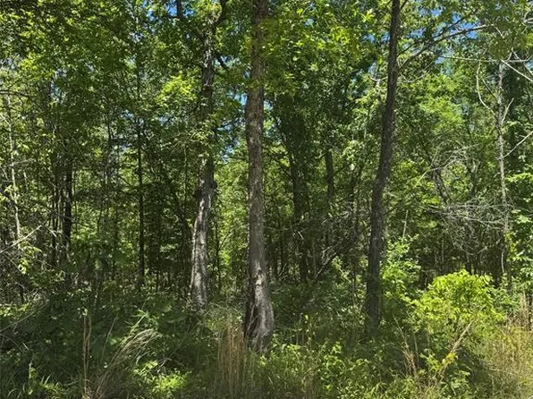 61 Vista Ridge Trail, Watson, OK 74957