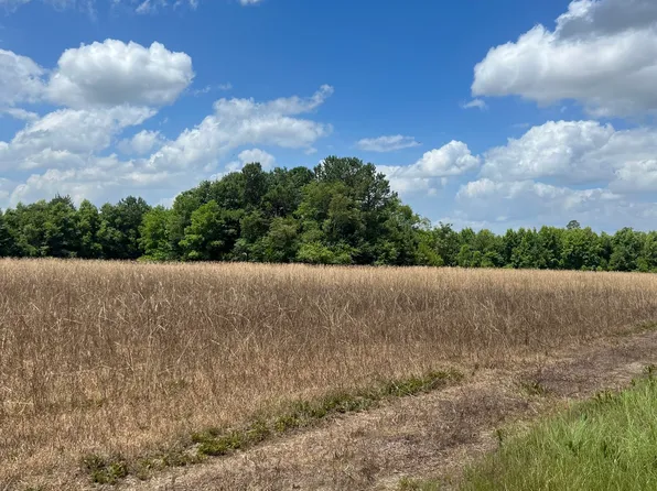 0 Stoney Pond Rd, Sylvania, GA 30467