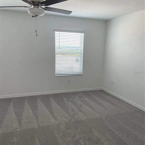 32077 Powderpuff Mimosa Dr — Photo 20