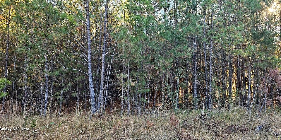 2nd image of 3869 Shelton Rd