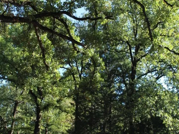0 Forest Ln, Mabank, TX 75156