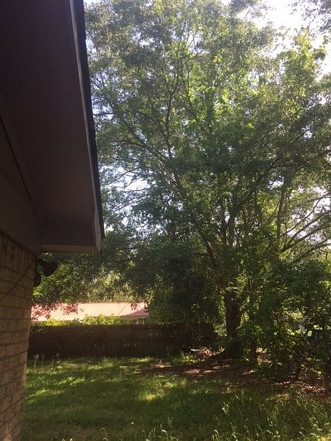 1st image of 4442 Donwood Dr