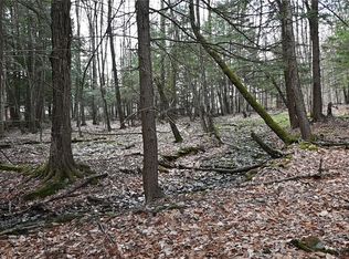 0 Nichols Rd #24, Gilbertsville, NY 13776