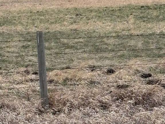 3rd image of On Township Rd #322