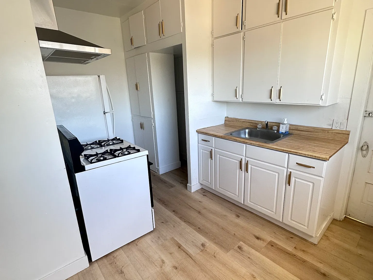 1 bed, 700 sqft, $1,300 — Photo 4