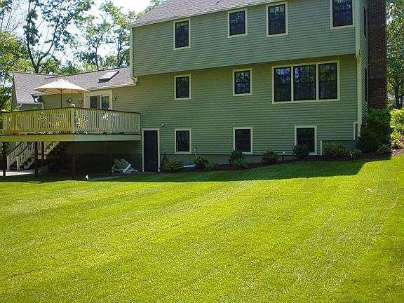back yard