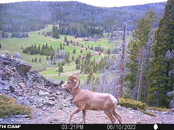 4th image of Indian Creek Rd