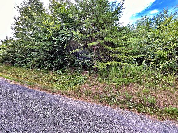4th image of 0 Ivy Moore Cir