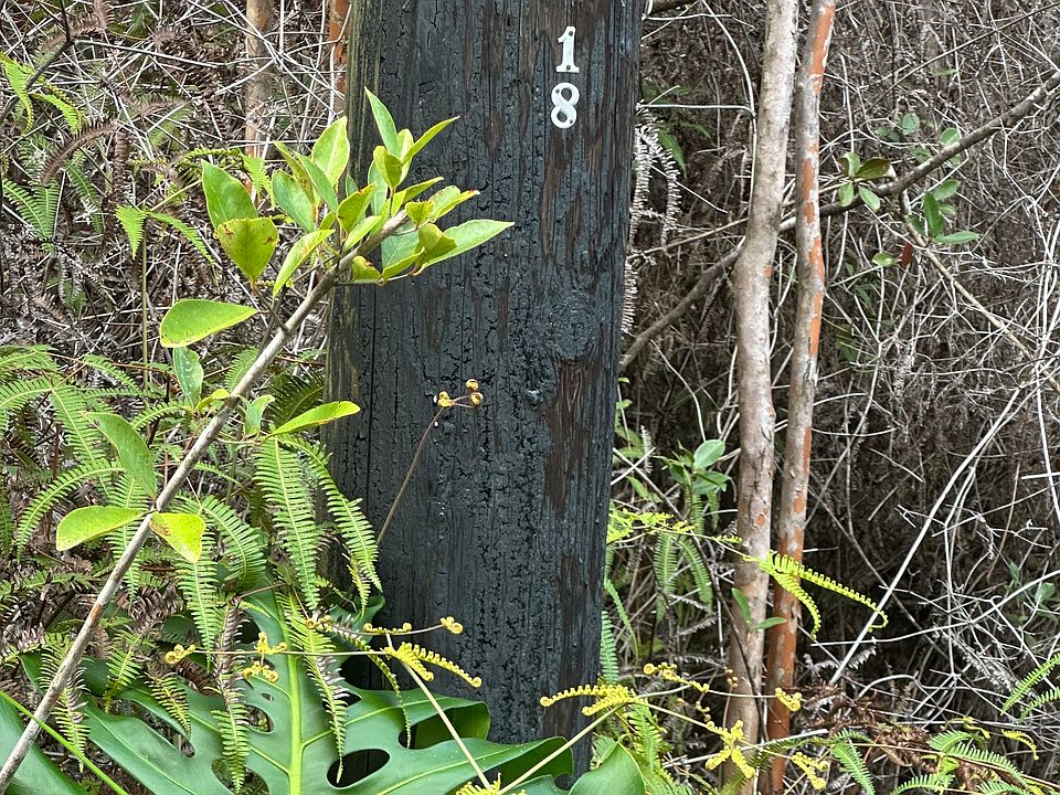 1st image of Road 3 Hopue Lot 3231