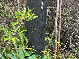 Road 3 Hopue Lot 3231, Kurtistown, HI 96760