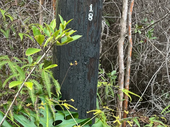 Road 3 Hopue Lot 3231, Kurtistown, HI 96760