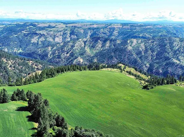 Waters Rd, Nezperce, ID 83543