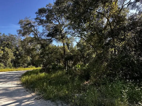 0 NE 306th Ave, Old Town, FL 32680