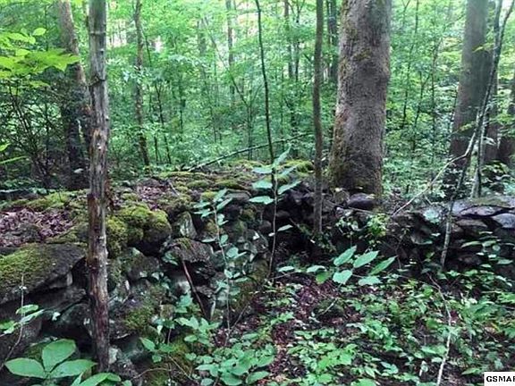 4th image of 56 Laurel Springs Rd Lot 5&6
