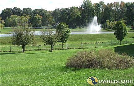 Pond View from center of property