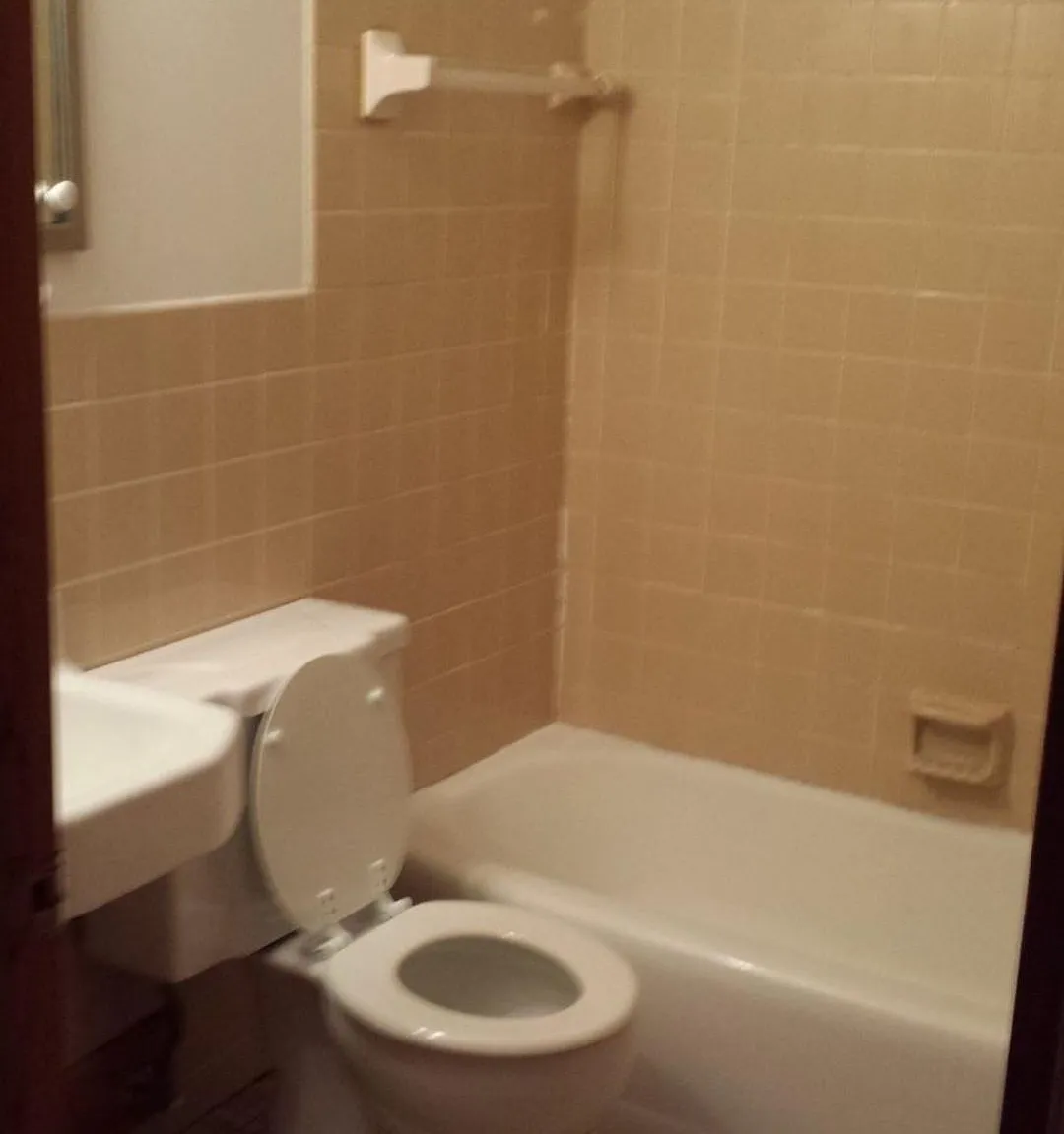 1 bed, $900 — Photo 2