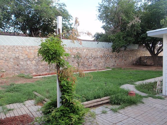 Back Yard w/Sprinkler Sys