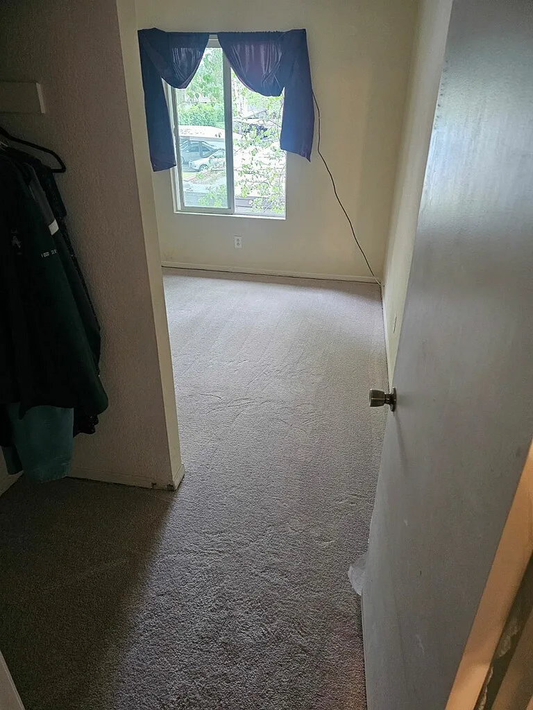 1 bed, 782 sqft, $1,150 — Photo 2