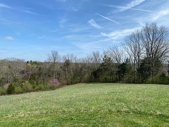 5th image of 317 Short Rd