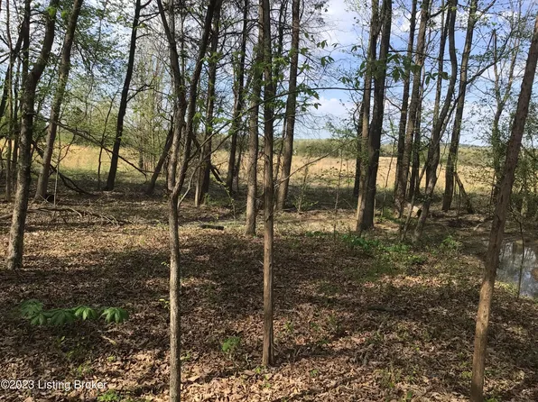 19 Tracy Lynn Ln, Lebanon Junction, KY 40150