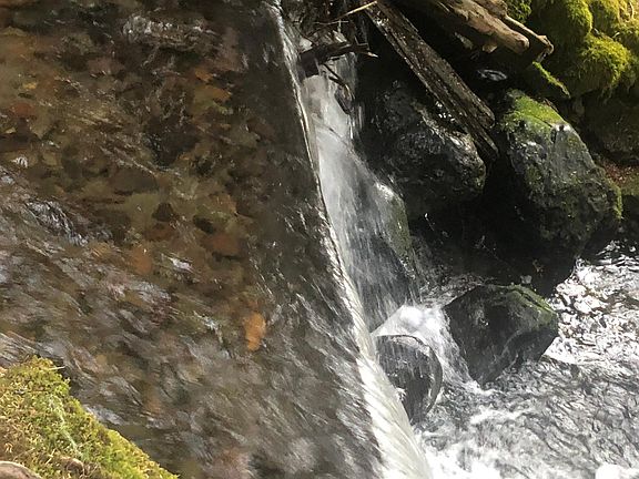 year round creek next to bedroom