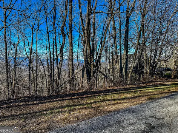 18 Wild Bird Ln, Dillard, GA 30537