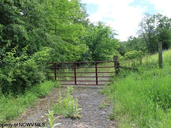 5 Little Tory Dr, Harman, WV 26270