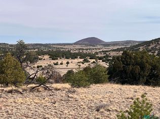 292 Cimarron Dr, Quemado, NM 87829