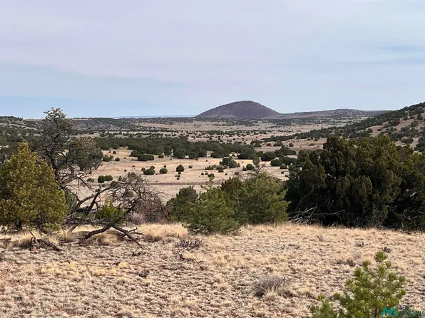 292 Cimarron Dr, Quemado, NM 87829